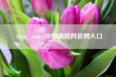 海南中国消防网官网入口