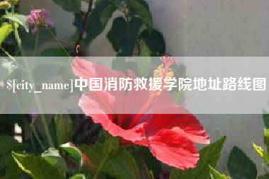 海南中国消防救援学院地址路线图