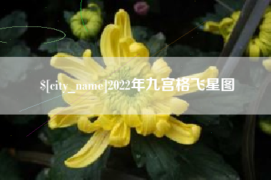 海南2022年九宫格飞星图