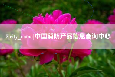 海南中国消防产品信息查询中心