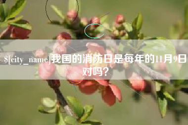 海南我国的消防日是每年的11月9日对吗？