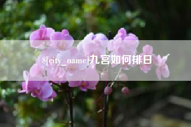海南九宫如何排日