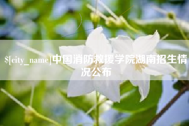 海南中国消防救援学院湖南招生情况公布