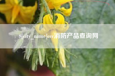 海南ccc消防产品查询网