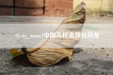 海南中国九枚金牌分别是