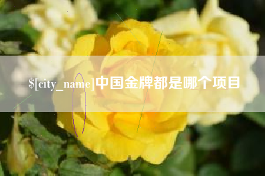 海南中国金牌都是哪个项目