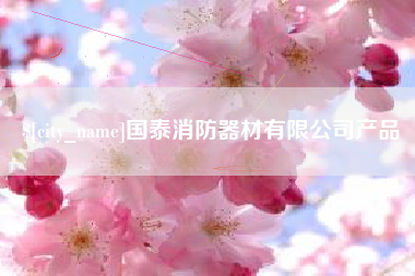 海南国泰消防器材有限公司产品
