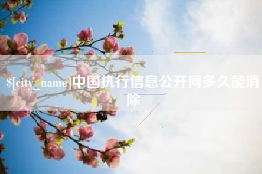 海南中国执行信息公开网多久能消除