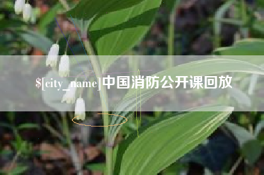 海南中国消防公开课回放