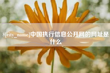 海南中国执行信息公开网的网址是什么