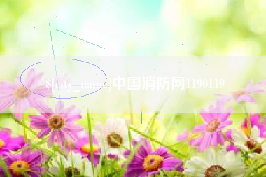 海南中国消防网1190119