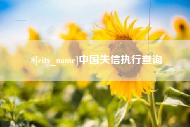 海南中国失信执行查询