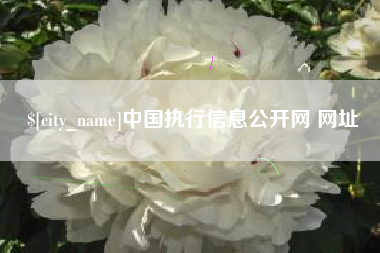 海南中国执行信息公开网 网址