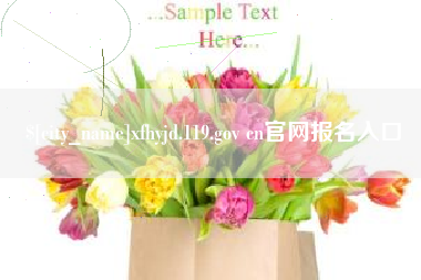 海南xfhyjd.119.gov cn官网报名入口