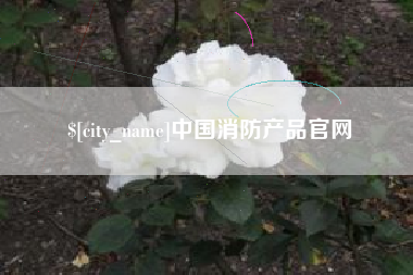 海南中国消防产品官网