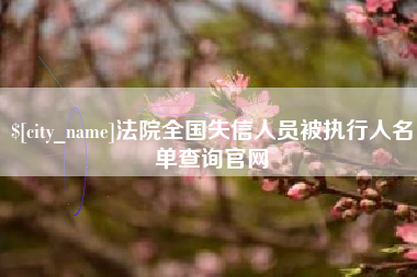 海南法院全国失信人员被执行人名单查询官网