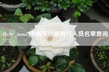 海南中国失信被执行人员名单查询