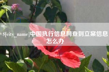 海南中国执行信息网查到立案信息怎么办