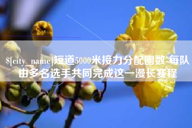 海南短道5000米接力分配圈数-每队由多名选手共同完成这一漫长赛程
