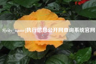 海南执行信息公开网查询系统官网