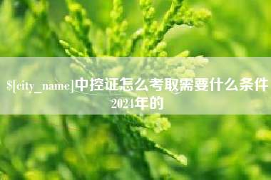 海南中控证怎么考取需要什么条件2024年的