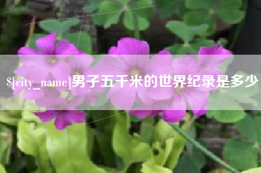 海南男子五千米的世界纪录是多少