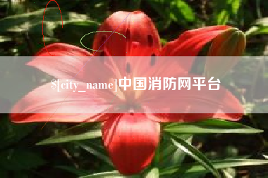 海南中国消防网平台