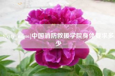 海南中国消防救援学院身体要求多少