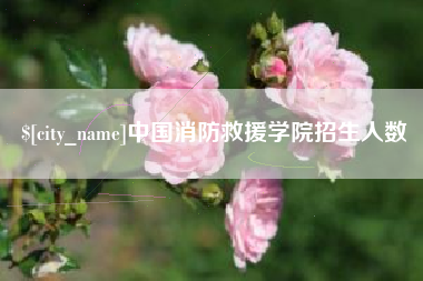海南中国消防救援学院招生人数