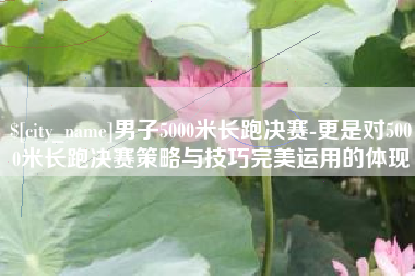 海南男子5000米长跑决赛-更是对5000米长跑决赛策略与技巧完美运用的体现