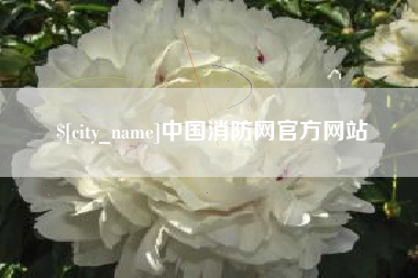 海南中国消防网官方网站