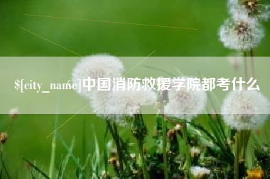 海南中国消防救援学院都考什么