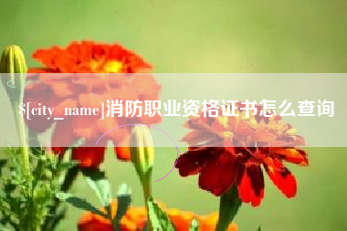 海南消防职业资格证书怎么查询