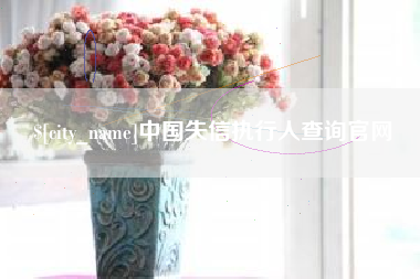 海南中国失信执行人查询官网