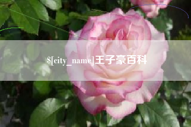 海南王子豪百科