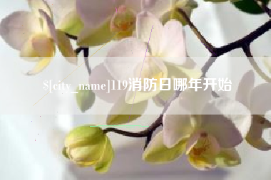 海南119消防日哪年开始