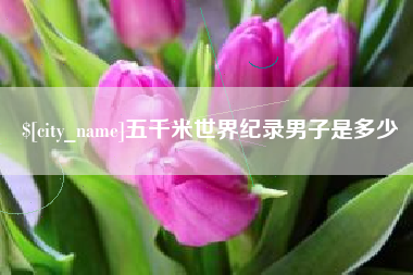 海南五千米世界纪录男子是多少