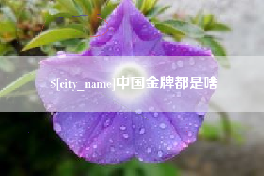 海南中国金牌都是啥