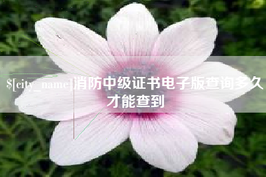 海南消防中级证书电子版查询多久才能查到
