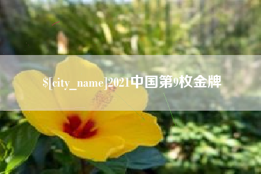 海南2021中国第9枚金牌
