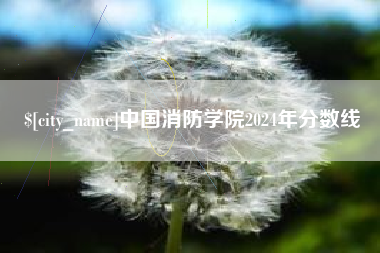 海南中国消防学院2024年分数线