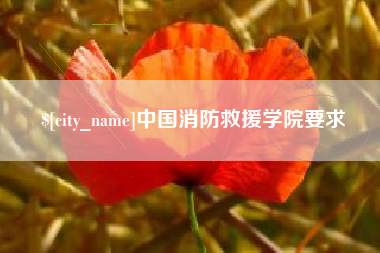 海南中国消防救援学院要求