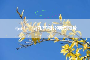 海南九宫图分割线图片