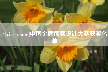 海南中国金牌图案设计大赛获奖名单