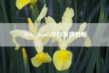 海南中国金牌包括