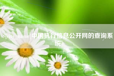 海南中国执行信息公开网的查询系统