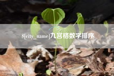 海南九宫格数字排序