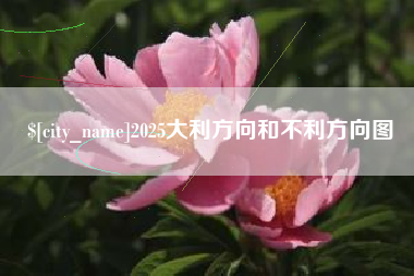 海南2025大利方向和不利方向图