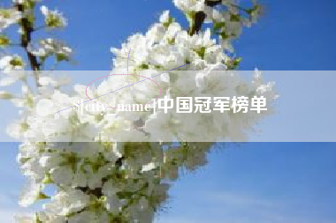 海南中国冠军榜单