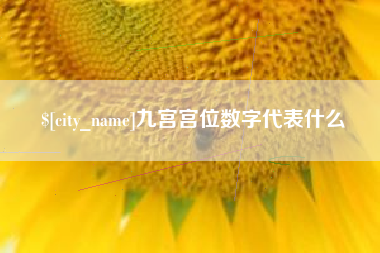 海南九宫宫位数字代表什么